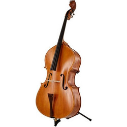 Master Bucur Double Bass Rogeri Lions Head