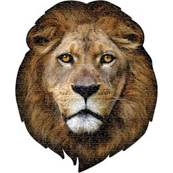 Puzzle Madd Capp I Am Lion 550 Κομμάτια