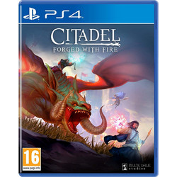 Citadel Forged With Fire PS4