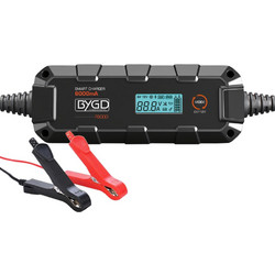 BYGD F6000