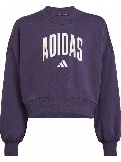 Adidas Παιδικό Φούτερ Μωβ JV7379