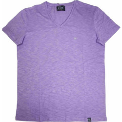 Paco & Co Men's Basic V-Neck Tee 2431821 Lilac
