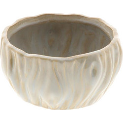 Mastershop 16x8cm Κασπώ Εσωτερικού Χώρου Πήλινο Γκρι 16x16x8cm