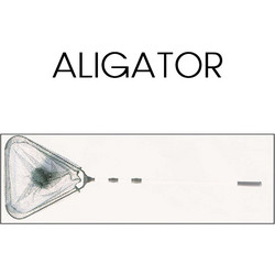 Aligator Απόχη