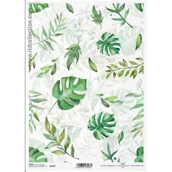 Ριζόχαρτο Green leaves 21x29εκ. (ITD-R1417)