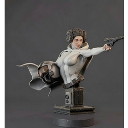Φιγούρα Princess Leia and Helmet Bust 3D 3D εκτυπωμένη