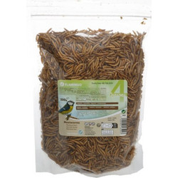 Flamingo Αποξηραμένα Mealworms 300gr