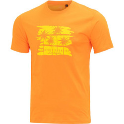 BRILLE LIMITED ORANGE άνδρες