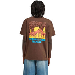 ELEMENT PLEASURE SS - ΑΝΔΡΙΚΟ T-SHIRT ΚΑΦΕ