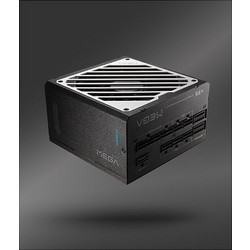 FSP/Fortron 1000W Μαύρο Τροφοδοτικό Υπολογιστή Full Modular 80 Plus Gold (PPA10A4501)