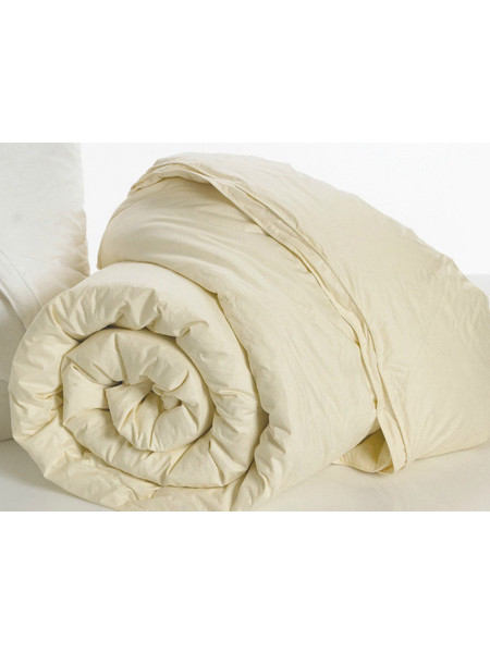 Palamaiki Πάπλωμα Μονό Πουπουλένιο 160x240 White Comfort Aloe Vera Fresh Εκρου