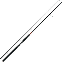 Pregio Passion Καλάμι Ψαρέματος για Shore Jigging Carbon Δίσπαστο 3.05m 80-120gr