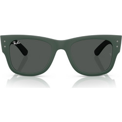 Ray-Ban RB4840S 665787 Γυναικεία Γυαλιά Ηλίου Πεταλούδα Κοκάλινα Πράσινα με Μαύρο Φακό