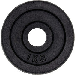 Αθλοπαιδιά Δίσκος Μεταλλικός 1kg Φ29mm