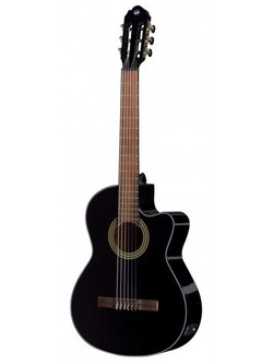 Gewa E-Acoustic Student