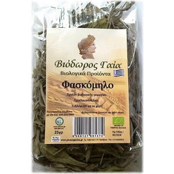 Βιόδωρος Γαία Φασκόμηλο 25gr