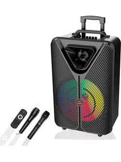 ZQS-15123 Σύστημα Καραόκε με Ασύρματο Μικρόφωνο