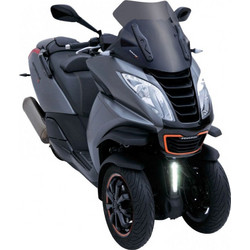 ERMAX Φιμέ Ζελατίνα Μηχανής για Peugeot Metropolis 400 '13-'20 031103008