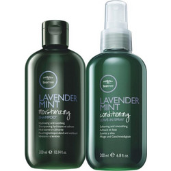 Paul Mitchell Tea Tree Lavender Mint Σετ Περιποίησης Μαλλιών Leave In Conditioner 300ml + Σαμπουάν 300ml