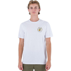 Hurley Ανδρικό Αθλητικό T-Shirt Λευκό MTS0032680-H100