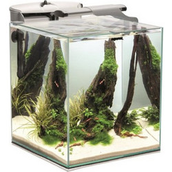 Aquael D&N Fish & Shrimp Ενυδρείο Ψαριών με Φωτισμό & Φίλτρο 49lt Λευκό Διαφανές