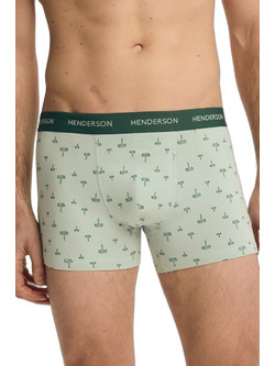 Henderson Ανδρικά Μποξεράκια Σετ 2Pack Πράσινα 44522