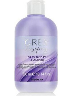 Inebrya GREYlosophy Grey By Day Σαμπουάν για Προστασία Χρώματος & Επανόρθωση για Βαμμένα Μαλλιά 1lt