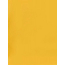 Canson Colorline Χαρτόνι Κανσόν Κίτρινο 50x70cm 105741151