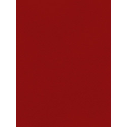 Favini Χαρτόνι Κανσόν Μπορντό 70x100cm 831.70100.08T