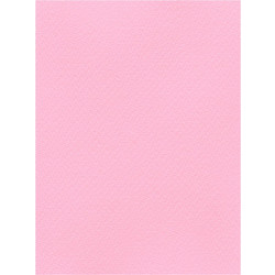 Favini Χαρτόνι Κανσόν Ροζ 70x100cm 831.70100.26T