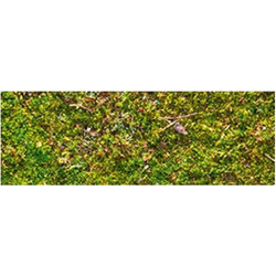 Ursus Moss Χαρτόνι Κολάζ Πράσινο 50x68cm 187127117