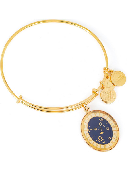 Alex and Ani Γυναικείο Βραχιόλι Βέργα Xρυσό A15EB64YG