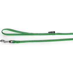 Glee Single Λουρί Σκύλου 1.22m x 25mm Πράσινο