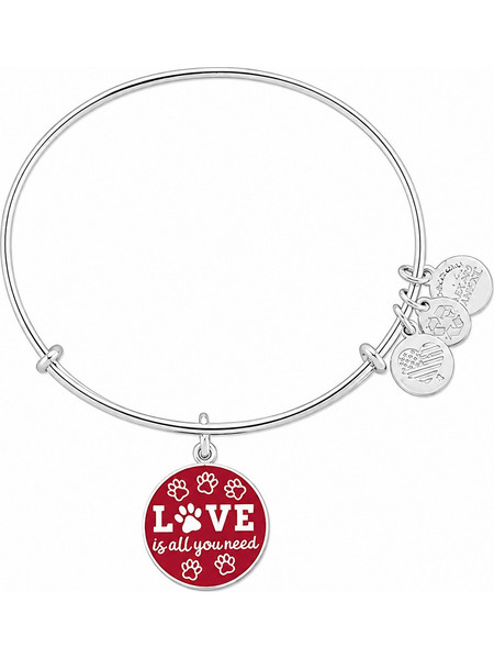 Alex and Ani Γυναικείο Βραχιόλι Βέργα Ασημί A17EBWAP07SS