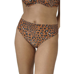 Sans Complexe Ψηλόμεσο Bikini Slip Animal Print Καφέ 68QAO41
