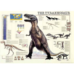Puzzle Ricordi The Tyrannosaur 1000 Κομμάτια