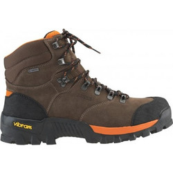 Aigle Altavio Ανδρικά Ορειβατικά Άρβυλα Αδιάβροχα Gore-Tex Καφέ P8975