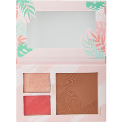 Sunkissed The Future Is Natural Face Palette