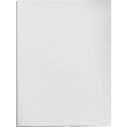 Χαρτονάκι Α4 δέρμα 250gr 1φ ice white