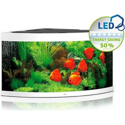 Juwel Aquarium Trigon 350 Ενυδρείο Ψαριών με Θερμαντήρα, Κυκλοφορητή & Φίλτρο 350lt Λευκό