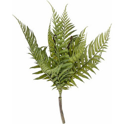 Τεχνητό Φυτό Fern Bush PT3652 30,5x30,5x42,5cm Green Present Time Πλαστικό