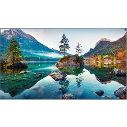 Vestel WU49B2H 49"