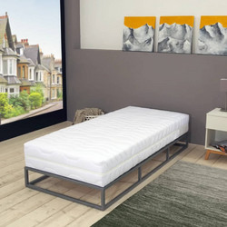 vidaXL 7 Ζώνες Ύψους 20cm Μονό 100x200cm 282812
