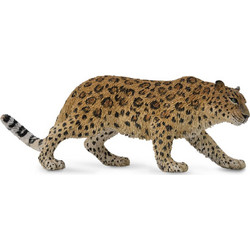 Collecta Λεοπάρδαλη του Αμούρ XLarge 88708