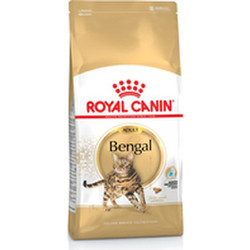 Royal Canin Adult Bengal with Poultry & Vegetables 10kg