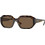 Vogue VO5554S W65673 Γυναικεία Γυαλιά Ηλίου Τετράγωνα Κοκάλινα Ταρταρούγα με Καφέ Polarized Φακό