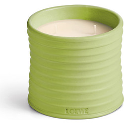 LOEWE LOEWE CUCUMBER MEDIUM SCENTED CANDLE | 610gr