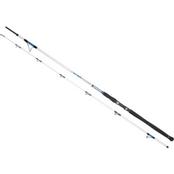 Dragon Boat Master Tournament Pro Καλάμι Ψαρέματος για Shore Jigging Carbon Δίσπαστο 2.95m 60-180gr