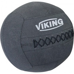 Viking C-8034 Wall Ball Professional - 6.00 kgr