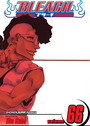 Bleach, Vol. 66 Bleach, Vol. 66